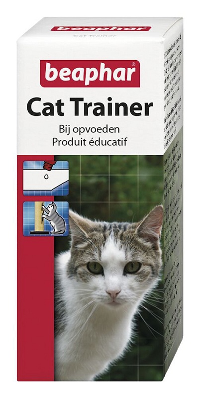Foto de Educadores para gatos y gatitos