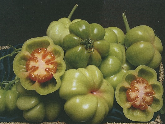 Foto de Semillas de tomate tradicionales