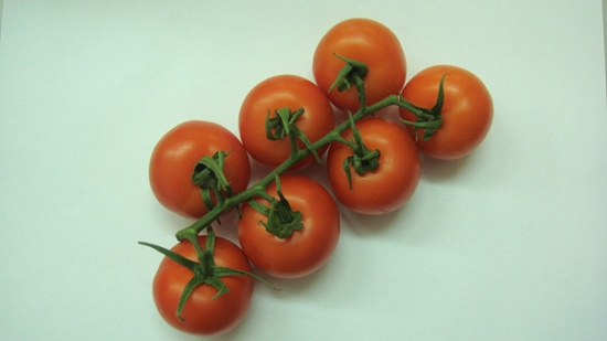 Foto de Tomates en rama de Almería