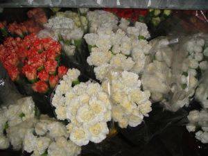 Foto de Flores cortadas de claveles