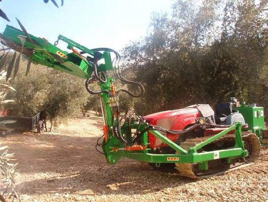 Foto de Vibrador de olivos en tractor de orugas