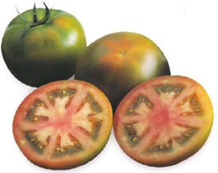 Foto de Semillas de Tomates