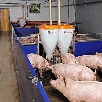 Big Dutchman Ibérica, S.A. - Escaparate (reseñas de productos/servicios)