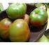 Tomato seed