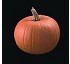 Pumpkin seed