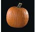 Pumpkin seed