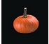 Pumpkin seed