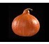 Pumpkin seeds