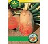 Fodder beet seed