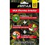 Mix plantas interior Batlle 