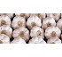 Ajos Spring blanco Big Garlic 