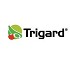 Insecticidas Syngenta Trigard