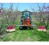 Bars herbicide interfilas