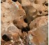 Rocalla Bur�s 