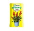 Sustrato de turba abonada Bur�s 