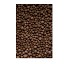 Arcilla expandida Bur�s 
