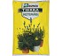 Tierra plantas mediterr�neas Bur�s 