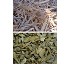 Capa protectora �mulch� Biot 
