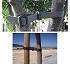 Cinturones para �rboles 