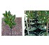 Protectores de bases de �rboles 