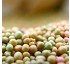 Fertilizantes de liberaci�n controlada Ficote