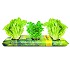 Stock exchange of crop bio