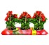 Stock exchange of crop bio