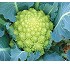 Semillas de Coliflor Agripa F1 