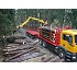 Cranes for wood