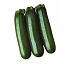 Semillas de Calabac�n Berula Fit� Berula