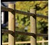 fences of pine