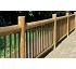 fences of pine