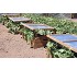 Greenhouses