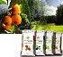 Fertilizantes para c�sped Fertigreen