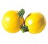 Semillas de Calabac�n redondo Floridor HF1