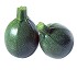 Semillas de Calabac�n redondo Sat�lite HF1
