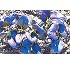 Brasica DSX-73041 F1
