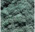 Mulch Ecofibra