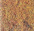 Mulches para protecci�n de suelo Ecoaegis