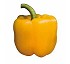 Semillas de Pimiento Carmol� Fit� California amarillo