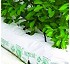 Sistema hidrop�nico Cocopeat