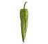 Semillas de Pimiento Ar�n Fit� Italiano