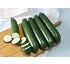 Semillas de Calabac�n Brillante Fit� Brillante