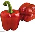 Semillas de Pimiento Abad�a Fit� California rojo