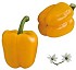 Semillas de Pimiento Lal�n Fit� amarillo