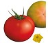 Semillas de tomate Meryva Fit� Grueso