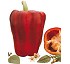 Semillas de Pimiento Manolo Fit� Lamuyo rojo