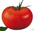 Semillas de tomate Albayda Fit� Larga vida