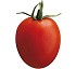 Semillas de tomate Byelsa Fit� Pera
