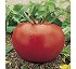 Semillas de tomate Yeste Fit� Grueso